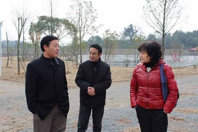 朱海清主席与程锦院长、汪漪主任沟通交流